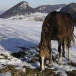 wandern jura