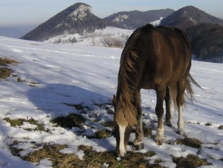 wandern jura